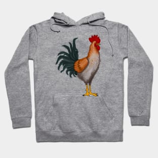 Cute Rooster Drawing Hoodie